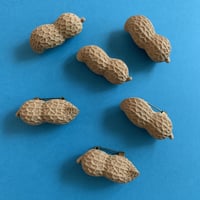 ピーナッツブローチ
