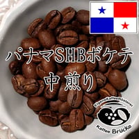 【中煎り】パナマSHBボケテ 100g【クリックポスト】