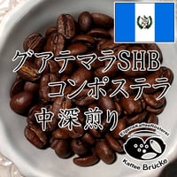 【中深煎り】グアテマラSHB コンポステラ 100g【宅急便】