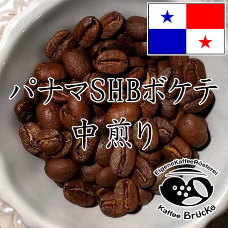 【中煎り】パナマSHBボケテ 100g【宅急便】