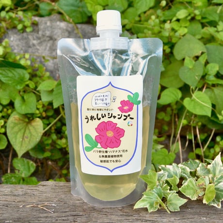 500g コスメ・美容 お値引き中、2024年秋収穫 石臼挽きヘナ