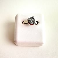 meteorite/隕石リング⑧-21号