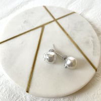 Mermaid Pierce 001-White-lipped pearl oyster