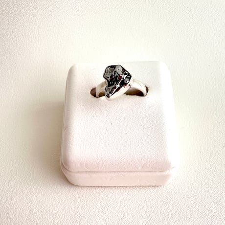 meteorite/隕石リング③-13.5号