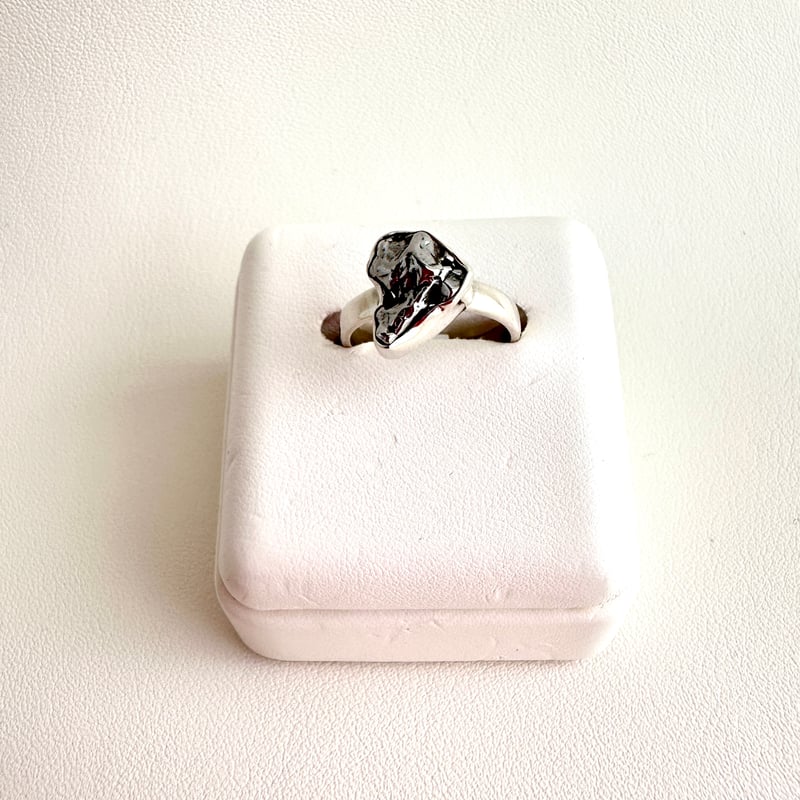 meteorite/隕石リング③-13.5号 | K45