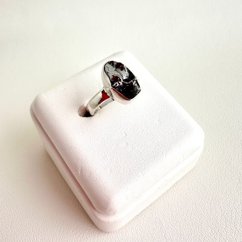 meteorite/隕石リング①-10.5号 | K45 