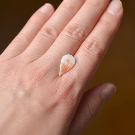 デンドリティックアゲート Dendritic Agate 066
