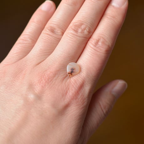 デンドリティックアゲート Dendritic Agate 069