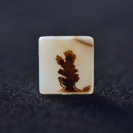 デンドリティックアゲート Dendritic Agate N043
