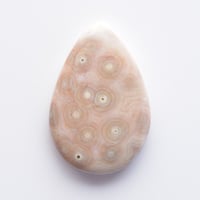 オーシャンジャスパー Ocean Jasper N014