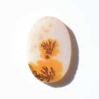 デンドリティックアゲート Dendritic Agate 056
