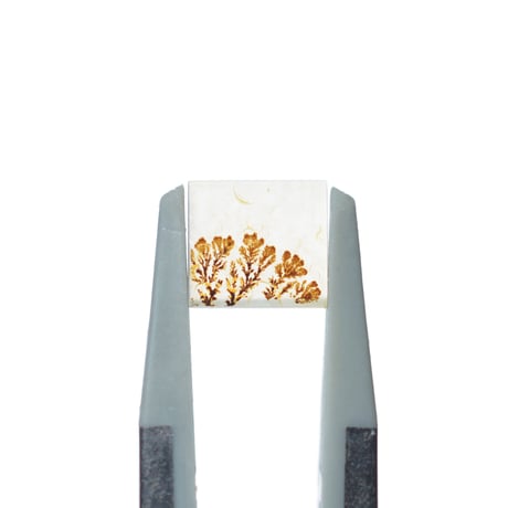 デンドリティックアゲート Dendritic Agate 102
