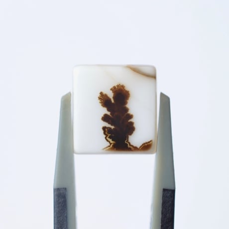 デンドリティックアゲート Dendritic Agate N043