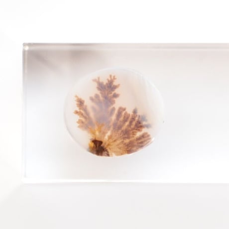 デンドリティックアゲート Dendritic Agate 004