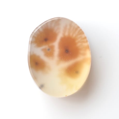 デンドリティックアゲート Dendritic Agate N140