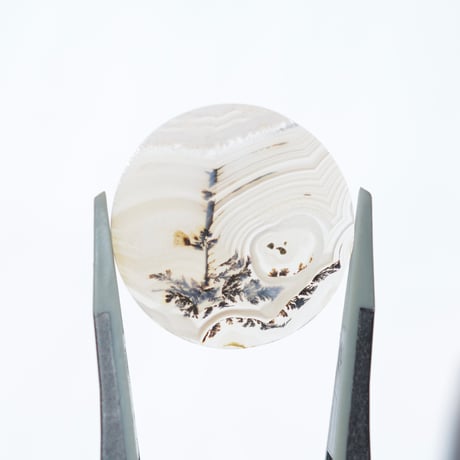 デンドリティックアゲート Dendritic Agate 074