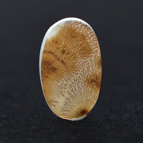 CATEGORY デンドリティックアゲート/Dendritic Agate | MARU