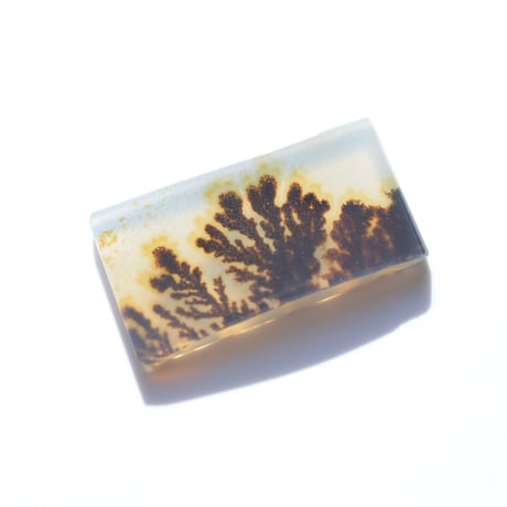 デンドリティックアゲート Dendritic Agate 072