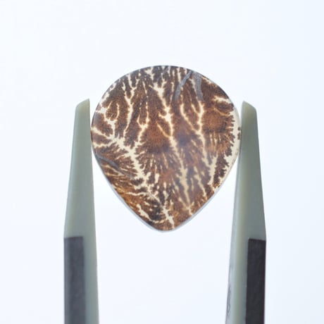 デンドリティックアゲート Dendritic Agate 023