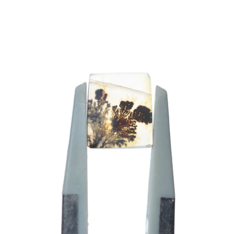 デンドリティックアゲート Dendritic Agate 101