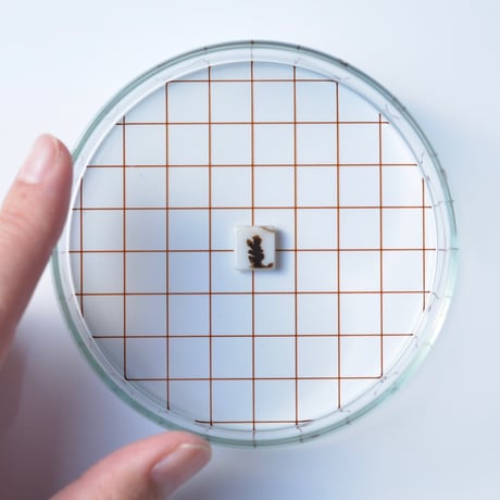デンドリティックアゲート Dendritic Agate N043