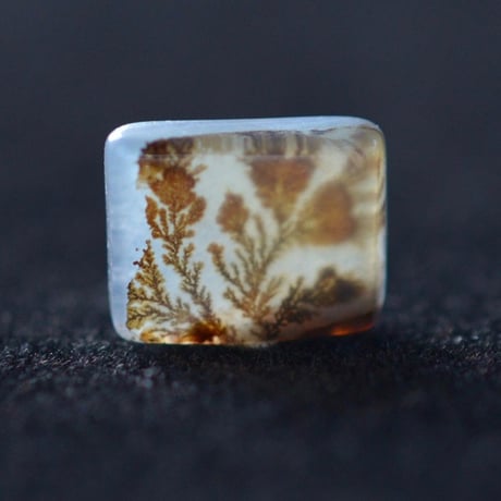 デンドリティックアゲート Dendritic Agate N044