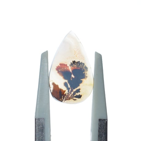 デンドリティックアゲート Dendritic Agate 100