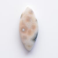 オーシャンジャスパー Ocean Jasper N012