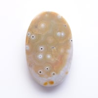 オーシャンジャスパー Ocean Jasper N013