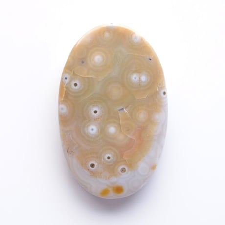 オーシャンジャスパー Ocean Jasper N013