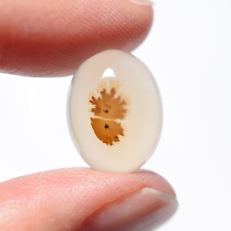 【自社研磨】デンドリティックアゲート Dendritic Agate 011