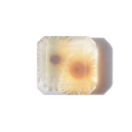 【自社研磨】デンドリティックアゲート Dendritic Agate 015