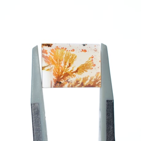 デンドリティックアゲート Dendritic Agate 086