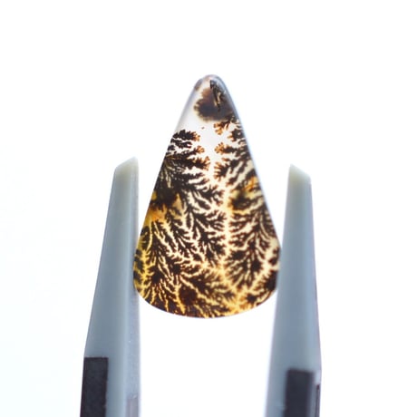 デンドリティックアゲート Dendritic Agate 021