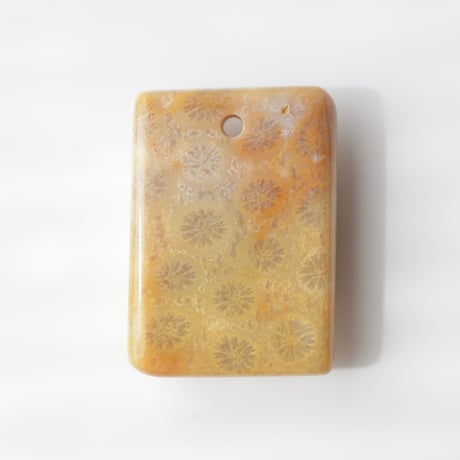 フォッシルコーラル Fossil Coral N057