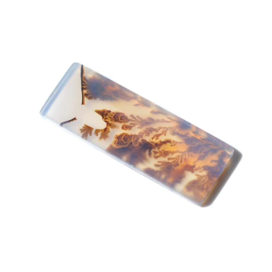 6a06684d9176651e4d5df71b