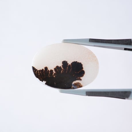デンドリティックアゲート Dendritic Agate 007