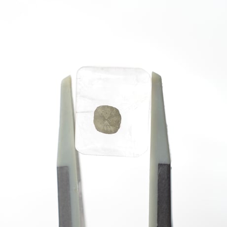 マーカサイトインクォーツ Marcasite in Quartz N007