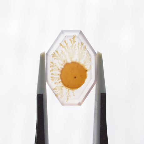 【自社研磨】デンドリティックアゲート Dendritic Agate 013