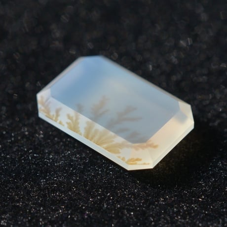 【自社研磨】デンドリティックアゲート Dendritic Agate 016