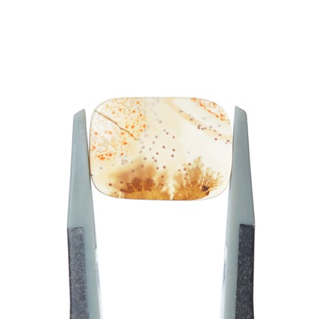 デンドリティックアゲート Dendritic Agate 081