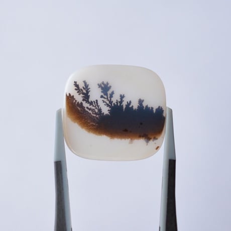 デンドリティックアゲート Dendritic Agate 006