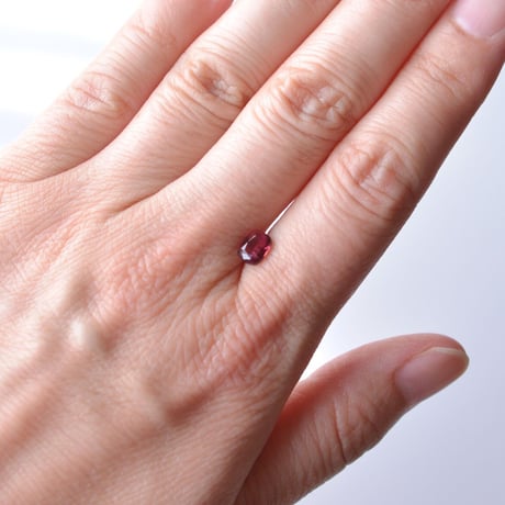 バイカラートルマリン Tourmaline N003