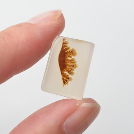 デンドリティックアゲート Dendritic Agate N145