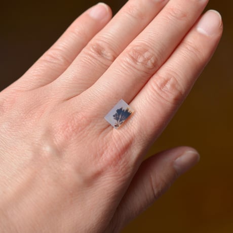 デンドリティックアゲート Dendritic Agate 076