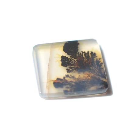 デンドリティックアゲート Dendritic Agate 101