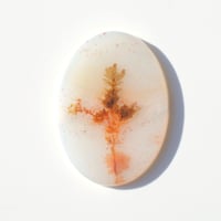 デンドリティックアゲート Dendritic Agate 048