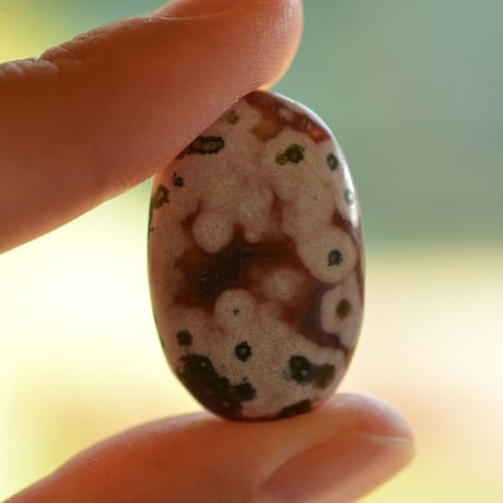 オーシャンジャスパー Ocean Jasper N003