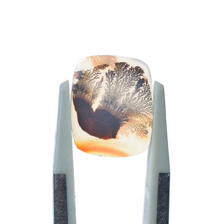 デンドリティックアゲート Dendritic Agate 084