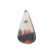 デンドリティックアゲート Dendritic Agate 095